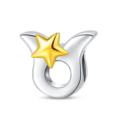 Signo Zodical Estrella Charm