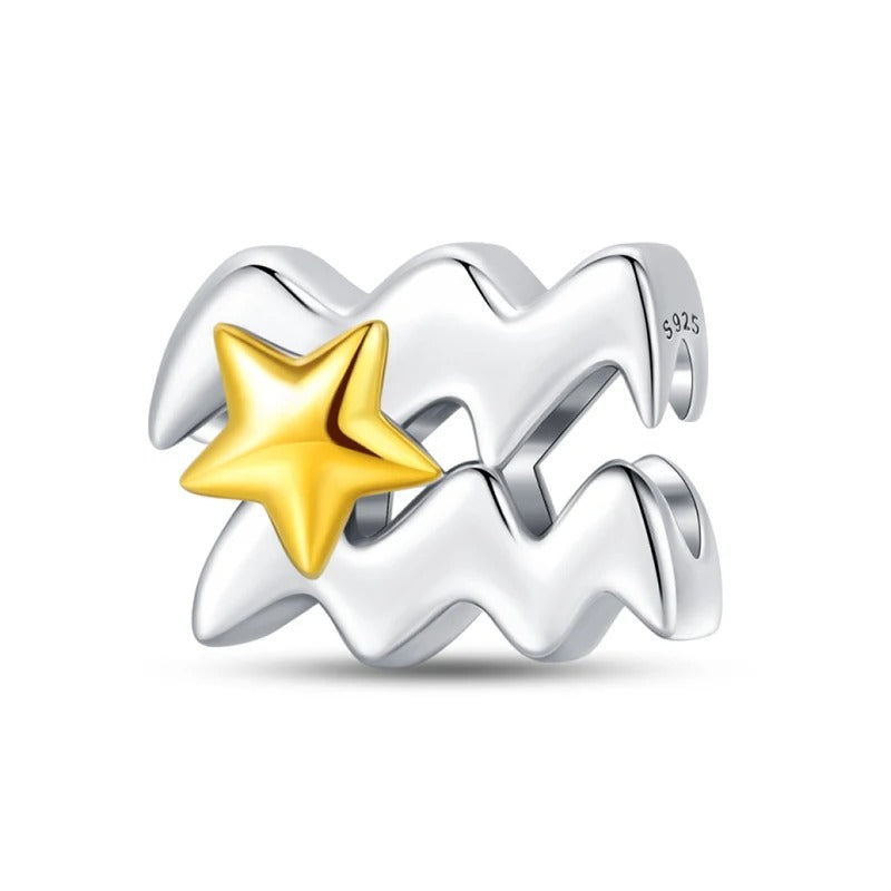 Signo Zodical Estrella Charm