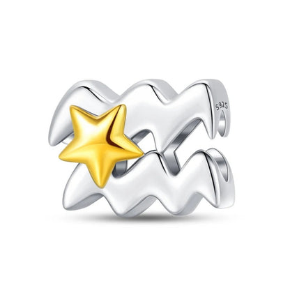 Signo Zodical Estrella Charm