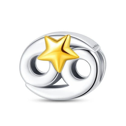 Signo Zodical Estrella Charm