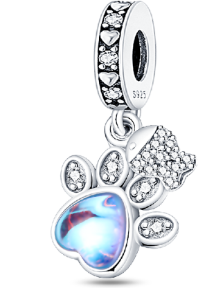 Pistas De Bluu Charm