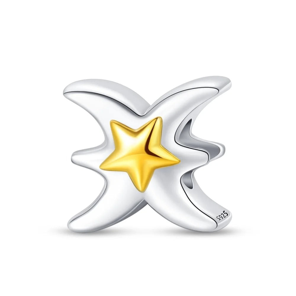 Signo Zodical Estrella Charm