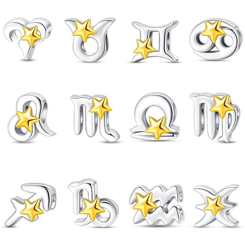 Signo Zodical Estrella Charm