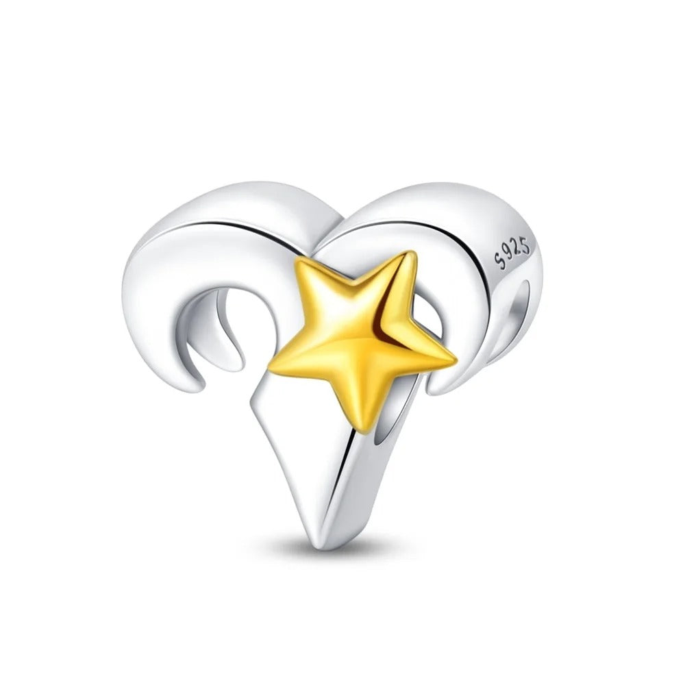 Signo Zodical Estrella Charm
