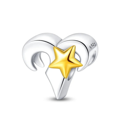 Signo Zodical Estrella Charm