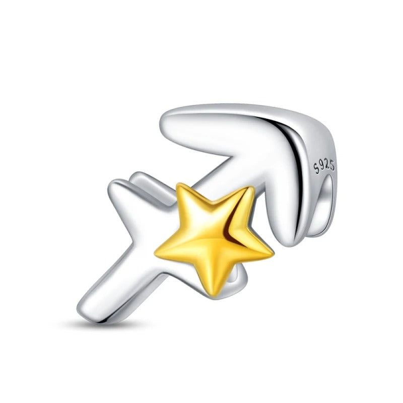Signo Zodical Estrella Charm